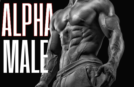 Alpha Male